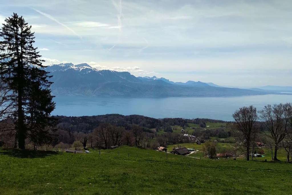 Appartement T2 Ideal Pour Une Famille Thollon-les-Memises Eksteriør billede